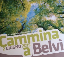 CAMMINA BELVI’ – MARTEDI 2 GIUGNO 2015