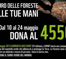 GIORNATA DELLE OASI – MONTE ARCOSU – DOMENICA 24 MAGGIO 2015