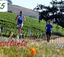 UNA TERRA SOLTANTO – 12 KM WINE RUNNING – CANTINE ARGIOLAS – DOMENICA 31 MAGGIO 2015