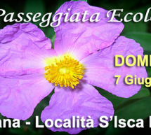 LA PASSEGGIATA ECOLOGICA – SERDIANA – DOMENICA 7 GIUGNO 2015