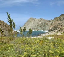 ALLA SCOPERTA DELL’ISOLA DI SAN PIETRO – DOMENICA 5 LUGLIO 2015