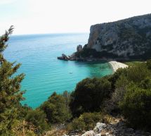 TREKKING A CALA LUNA PER AMMIRARE LE STELLE CADENTI – MARTEDI 11 AGOSTO 2015