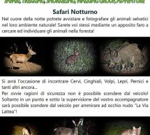 SAFARI NOTTURNO A VILLASIMIUS – PRENOTA IL TUO TOUR