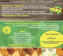 ESCURSIONE AD ARITZO PER LA SAGRA DELLE CASTAGNE – 24-25 OTTOBRE 2015