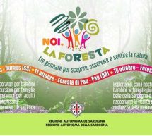 NOI, LA FORESTA 2015 – FORESTA DI PAU – DOMENICA 11 OTTOBRE 2015