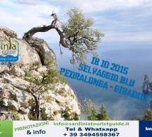 TREKKING DA PERDALONGA A PUNTA GIRADI – DOMENICA 18 OTTOBRE 2015