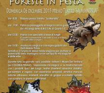 FORESTE IN FESTA – CASTIADAS – DOMENICA 6 DICEMBRE 2015