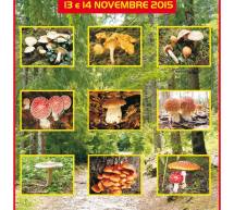 MOSTRA MICOLOGICA AL MERCATO SAN BENEDETTO DI CAGLIARI – 13-14 NOVEMBRE 2015