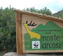 ESCURSIONE MTB ALL’OASI WWF DI MONTE ARCOSU – DOMENICA 13 DICEMBRE 2015