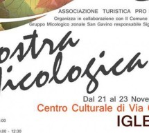 MOSTRA MICOLOGICA -IGLESIAS- 21-23 NOVEMBRE 2015