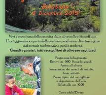 AJO’ A COLLIRE OLIA – BOLOTANA – SABATO 5 DICEMBRE 2015