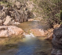 ESCURSIONE NELLA FORESTA DI PISCINAMANNA-PULA – DOMENICA 17 GENNAIO 2016