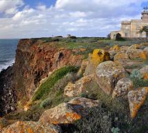 TOUR AL FARO DI CAPO SAN MARCO – CABRAS – DOMENICA 20 MARZO 2016