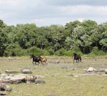 TREKKING NEL PARCO DELLA GIARA – SABATO 20 MARZO 2016