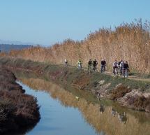 GREEN TREKKING DAL POETTO A MOLENTARGIUS – CAGLIARI – VENERDI 2 FEBBRAIO 2018