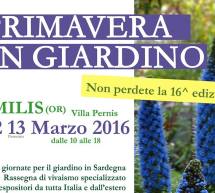 16° EDIZIONE- PRIMAVERA IN GIARDINO – MILIS- 12-13 MARZO 2016