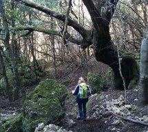 ESCURSIONE A SCALA SA MARRA -FORESTA MONTARBU -SEUI – DOMENICA 21 FEBBRAIO 2016