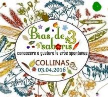 BIAS DE SABORIS 3 – COLLINAS – DOMENICA 3 APRILE 2016