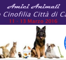 EXPO CINOFILA CITTA’ DI CAGLIARI – FIERA DELLA SARDEGNA – 11-13 MARZO 2016