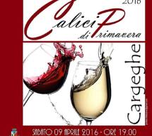 CALICI DI PRIMAVERA- CARGEGHE – SABATO 9 APRILE 2016