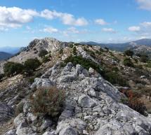 ESCURSIONE ALL’ANELLO DI COSTA SILANA – URZULEI – DOMENICA 15 MAGGIO 2016