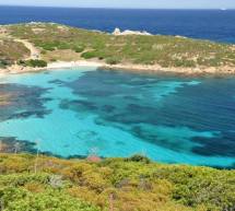 VISITA ALL’ISOLA DELL’ASINARA -GIOVEDI 2 GIUGNO 2016