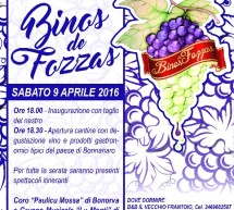 BINOS DE FOZZAS – BONNANNARO – SABATO 9 APRILE 2016