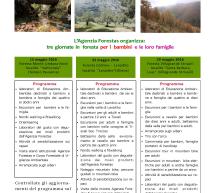 NOI LA FORESTA A VILLAGRANDE STRISAILI – DOMENICA 29 MAGGIO 2016