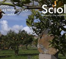 SCIOLAIT – PERCORSO GASTRONOMICO CON LO CHEF RICCARDO PORCEDDU – SAN SPERATE – SABATO 14 MAGGIO 2016