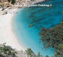 ESCURSIONE A CALA BIRIOLA – DOMENICA 29 MAGGIO 2016