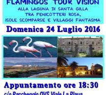 FLAMINGOS TOUR VISION ALLA LAGUNA DI SANTA GILLA – CAGLIARI – DOMENICA 24 LUGLIO 2016