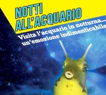 NOTTI ALL’ACQUARIO DI CALA GONONE- OGNI MARTEDI E SABATO DI LUGLIO E AGOSTO 2016