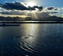 VISITA AL TRAMONTO ALLA SALINA E ALLA LAGUNA DI SANTA GILLA – CAGLIARI – SABATO 20 AGOSTO 2016