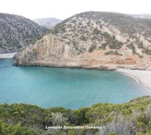 TREKKING NOTTURNO A CALA DOMESTICA – SABATO 3 SETTEMBRE 2016