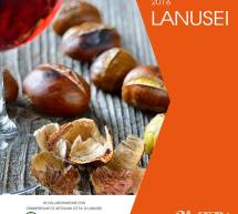 2° FIERA DELLE CASTAGNE E DEL VINO NUOVO – LANUSEI – 4-5-6 NOVEMBRE 2016