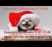 BANCARELLE CHIHUAHUOSE DI NATALE-  CAGLIARI- DOMENICA 18 DICEMBRE 2016