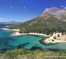 TREKKING A CAPO FIGARI  -GOLFO ARANCI – DOMENICA 6 NOVEMBRE 2016