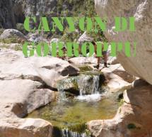 ESCURSIONE AL CANYON DI GORROPPU – DOMENICA 13 NOVEMBRE 2016