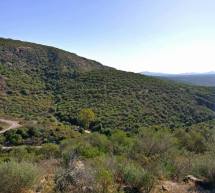 ALLE FALDE DEL VULCANO ARCI – DOMENICA 20 NOVEMBRE 2016