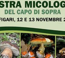 SAGRA DEL PORCINO E DEL PORCETTO – PUTIFIGARI – 12-13 NOVEMBRE 2016