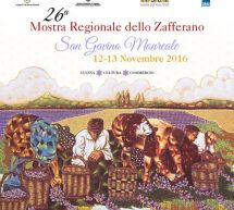 26° MOSTRA REGIONALE DELLO ZAFFERANO – SAN GAVINO MONREALE- 12-13 NOVEMBRE 2016