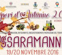 SAPORI D’AUTUNNO – USSARAMANNA – 19-20 NOVEMBRE 2016