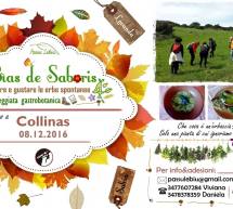 BIAS DE SABORIS – COLLINAS – GIOVEDI 8 DICEMBRE 2016