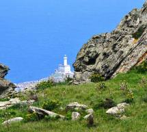 FUORISTRADA E TREKKING ALL’ASINARA -DOMENICA 5 FEBBRAIO 2017