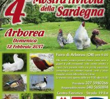 4° MOSTRA AVICOLA DELLA SARDEGNA – ARBOREA – DOMENICA 12 FEBBRAIO 2017