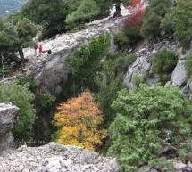 TREKKING NEL SUPRAMONTE SELVAGGIO – BAUNEI E URZULEI – 11-12 MARZO 2017