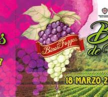 BINOS DE FOZZAS – BONNANNARO – SABATO 18 MARZO 2017