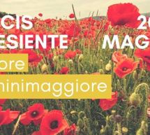 SULCIS IN FIORE – FLUMINIMAGGIORE – 20-21 MAGGIO 2017