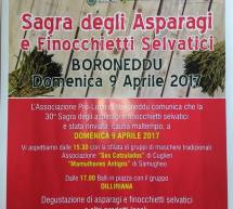 SAGRA DEGLI ASPARAGI E FINOCCHIETTI SELVATICI – BORONEDDU – DOMENICA 9 APRILE 2017