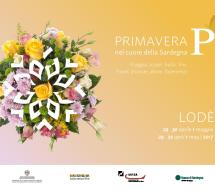 PRIMAVERA IN OGLIASTRA – LODE’ – 29-30 APRILE – 1 MAGGIO 2017